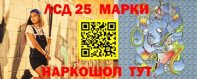 МДПВ Донецк