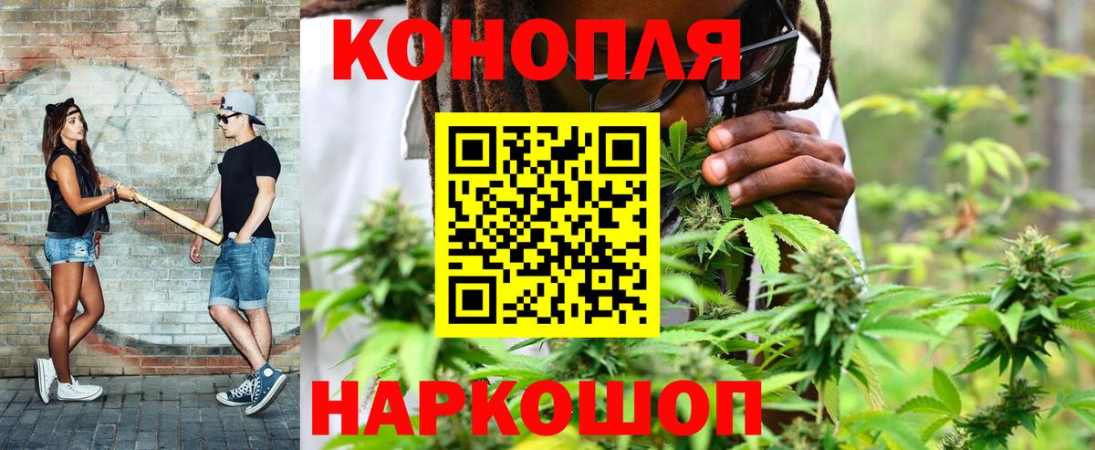 Канабис сатива Лесосибирск